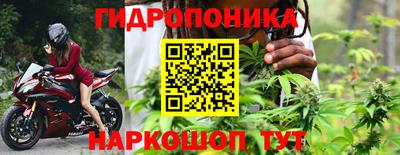 ГАЛЛЮЦИНОГЕННЫЕ ГРИБЫ Можга