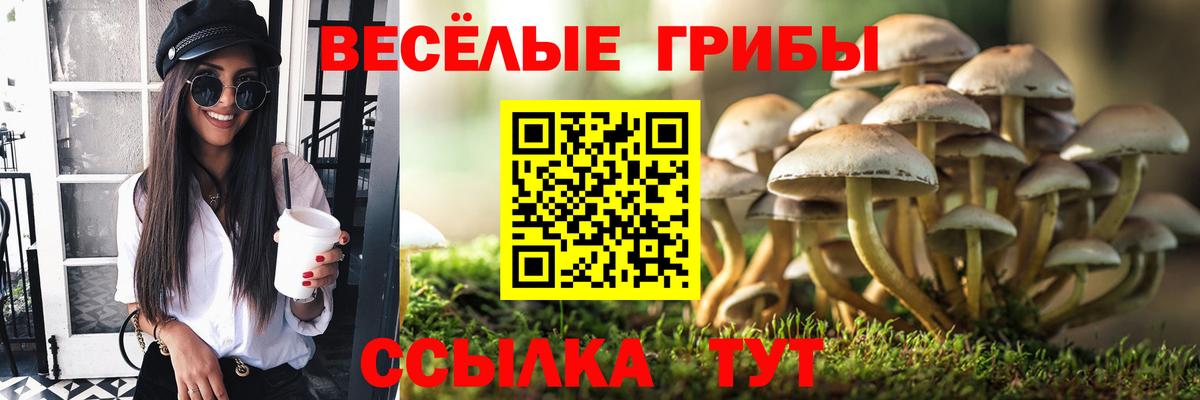Псилоцибиновые грибы прущие грибы Туймазы