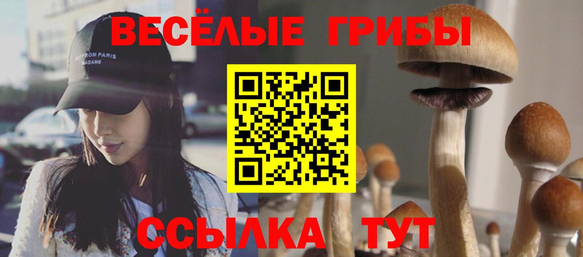 Туймазы  Галлюциногенные грибы Psilocybine cubensis  даркнет сайт  Вход с VPN  Галлюциногенные грибы Magic Shrooms 